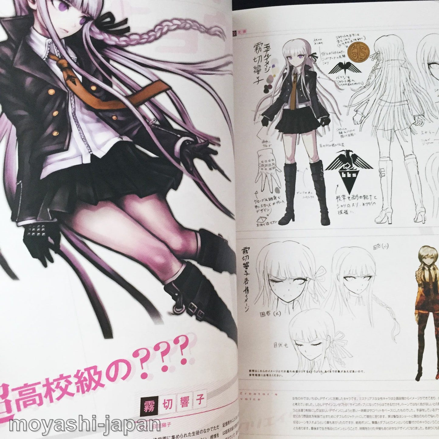 DANGANRONPA VISUAL FAN BOOK