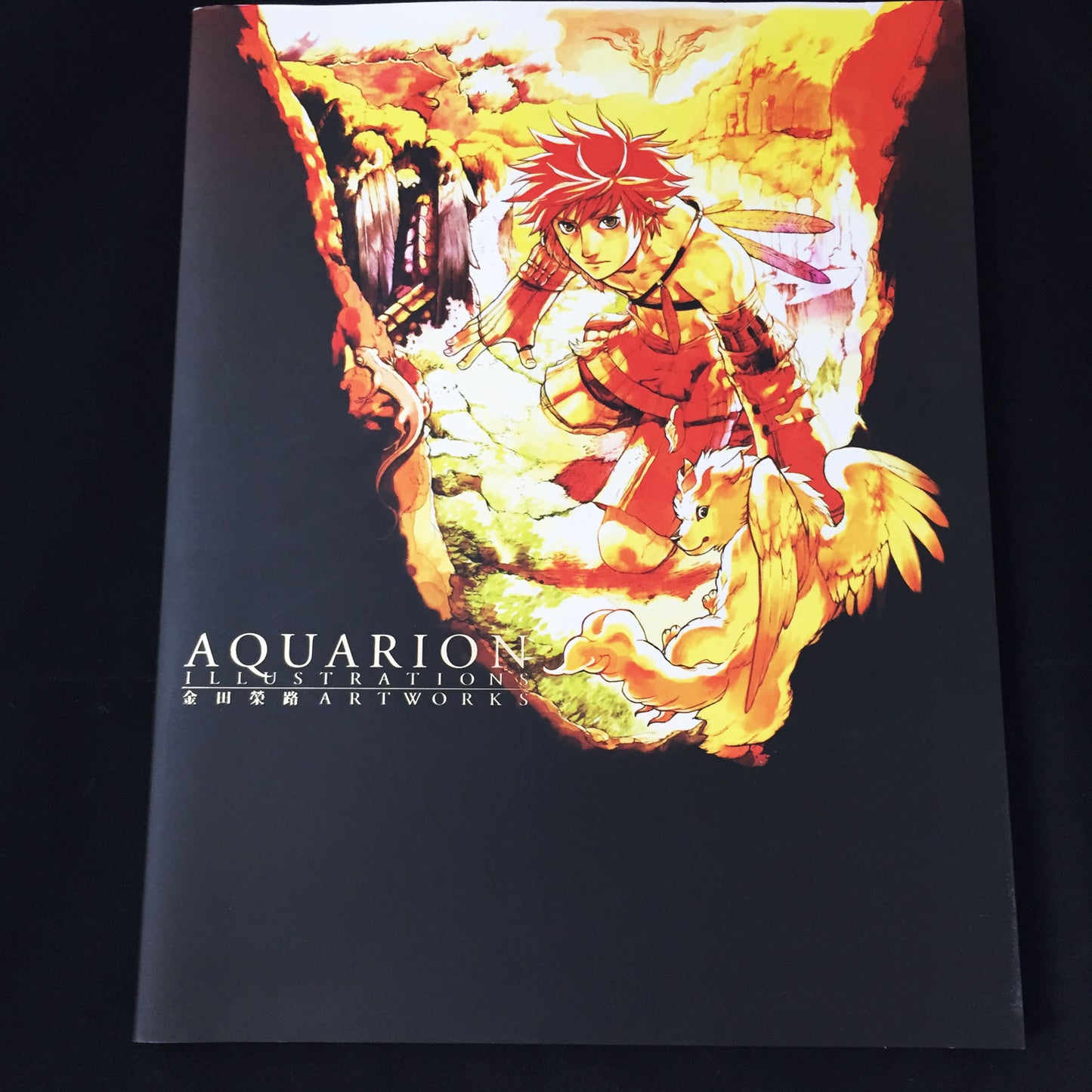 AQUARION ILLUSTRATIONS Eiji Kaneda ART WORKS