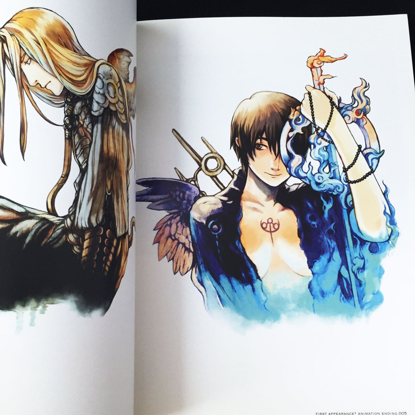 AQUARION ILLUSTRATIONS Eiji Kaneda ART WORKS