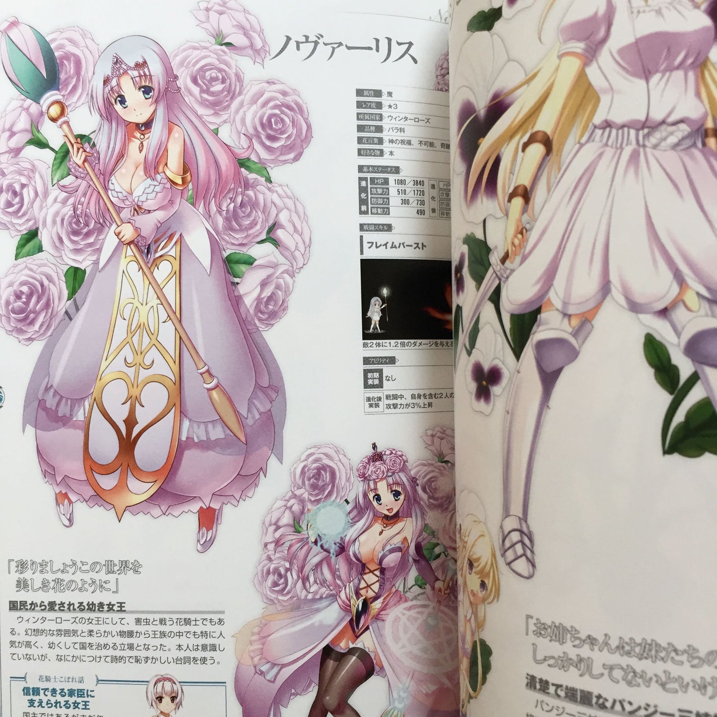 FLOWER KNIGHT GIRL Character Collection Book