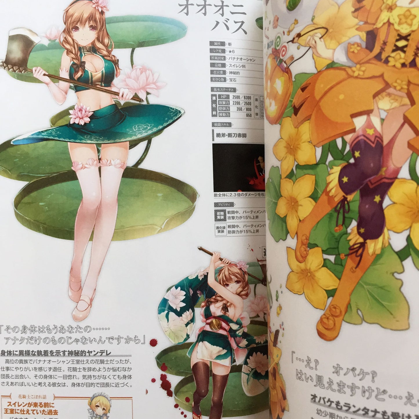 FLOWER KNIGHT GIRL Character Collection Book