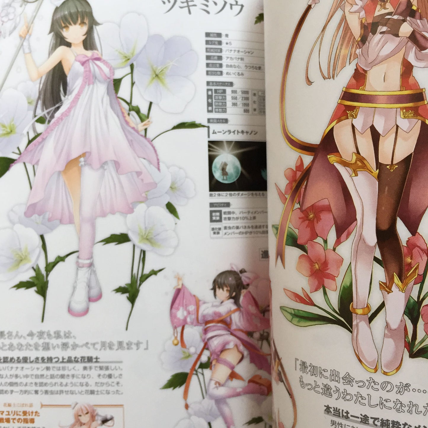 FLOWER KNIGHT GIRL Character Collection Book