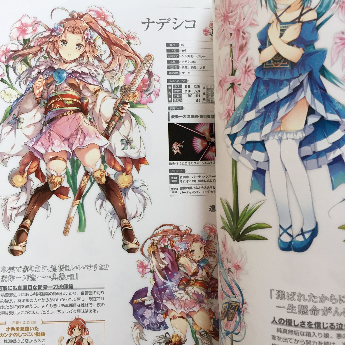 FLOWER KNIGHT GIRL Character Collection Book