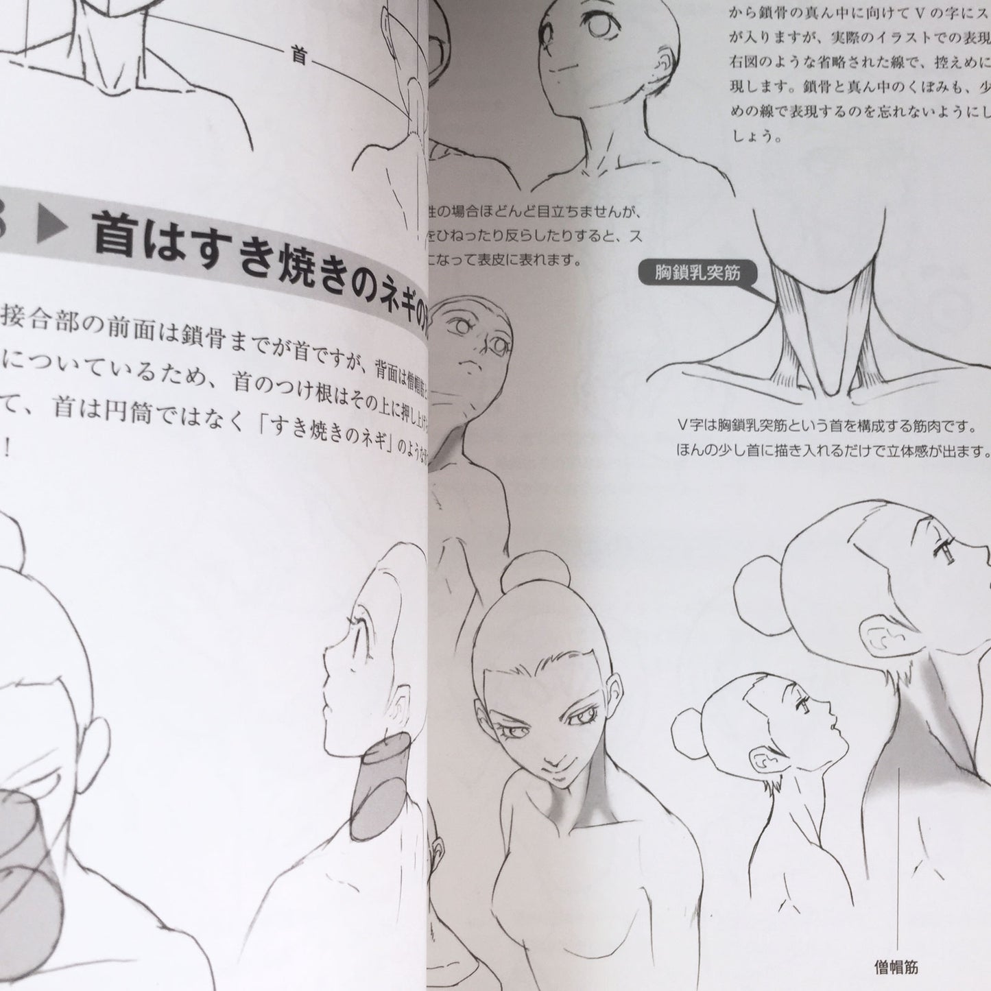 88 Tips on How To Draw Beautiful Girls from a 3D Perspective