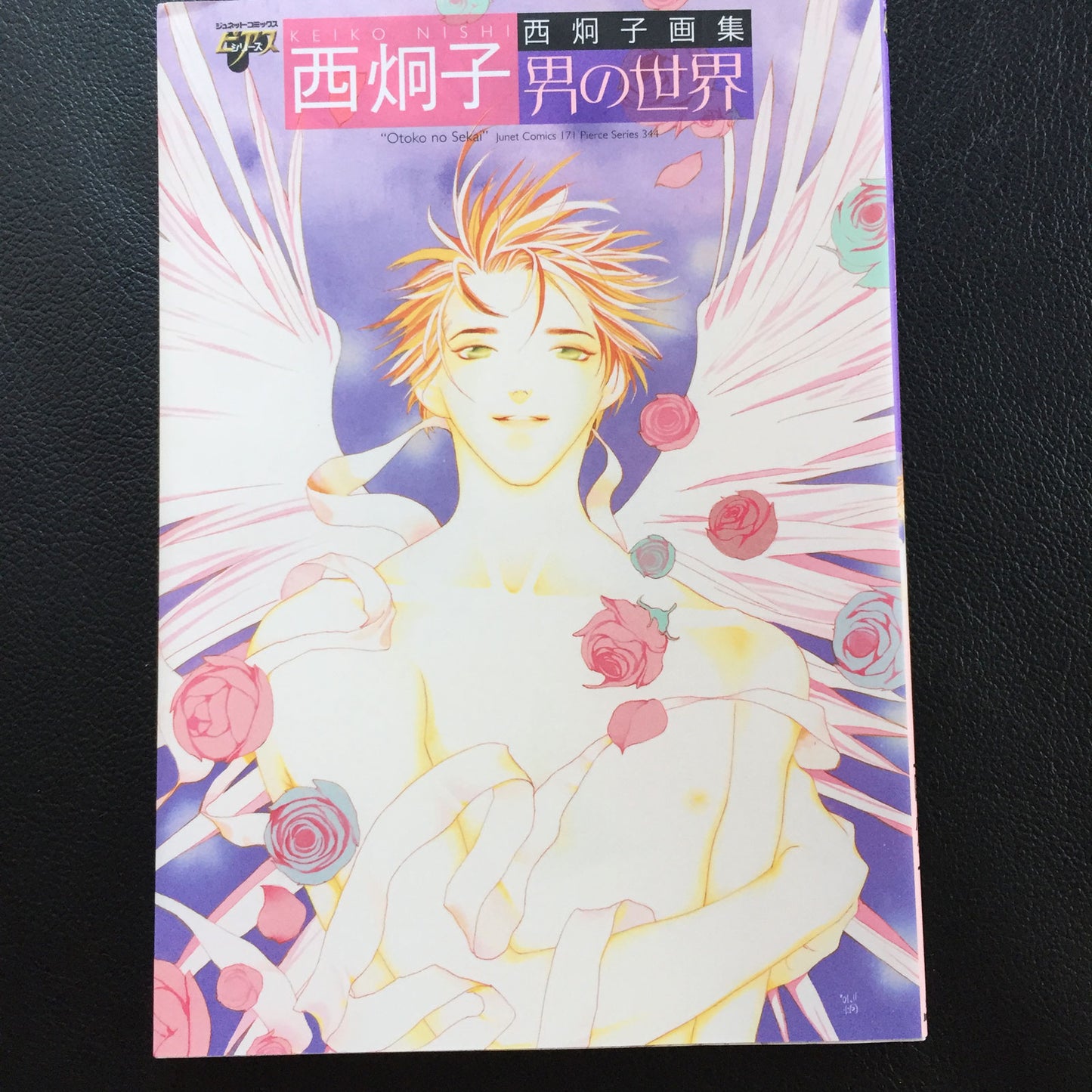 Keiko Nishi Art Book "otoko no sekai"