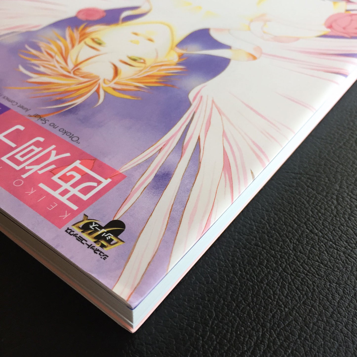 Keiko Nishi Art Book "otoko no sekai"