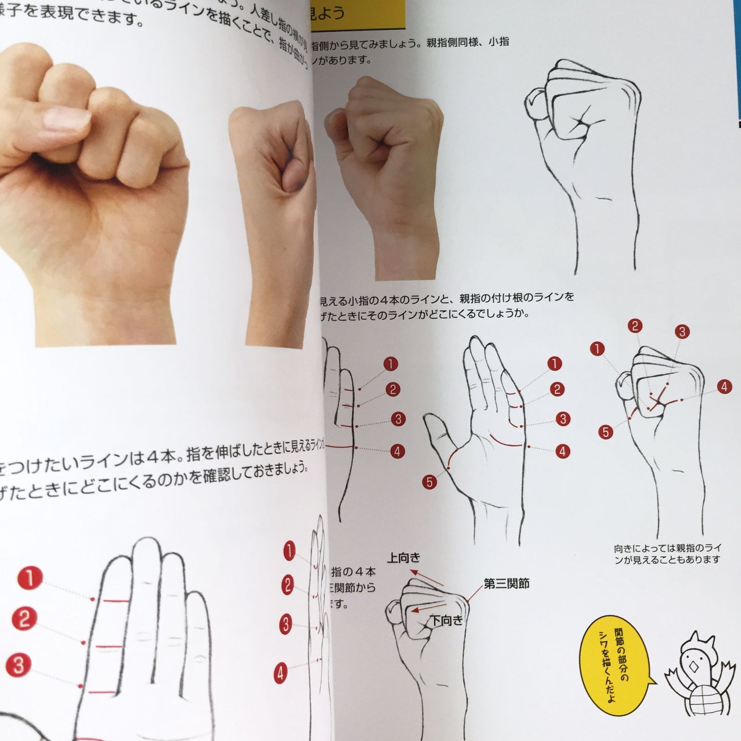 Hwo To Draw Hands and Feet Master Guide