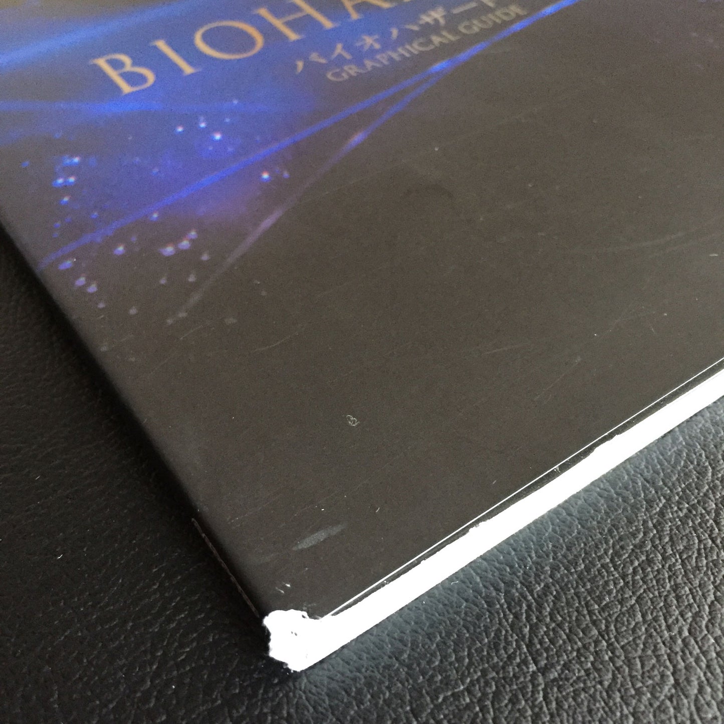 BIOHAZARD 6 (Resident Evil) Graphical Guide