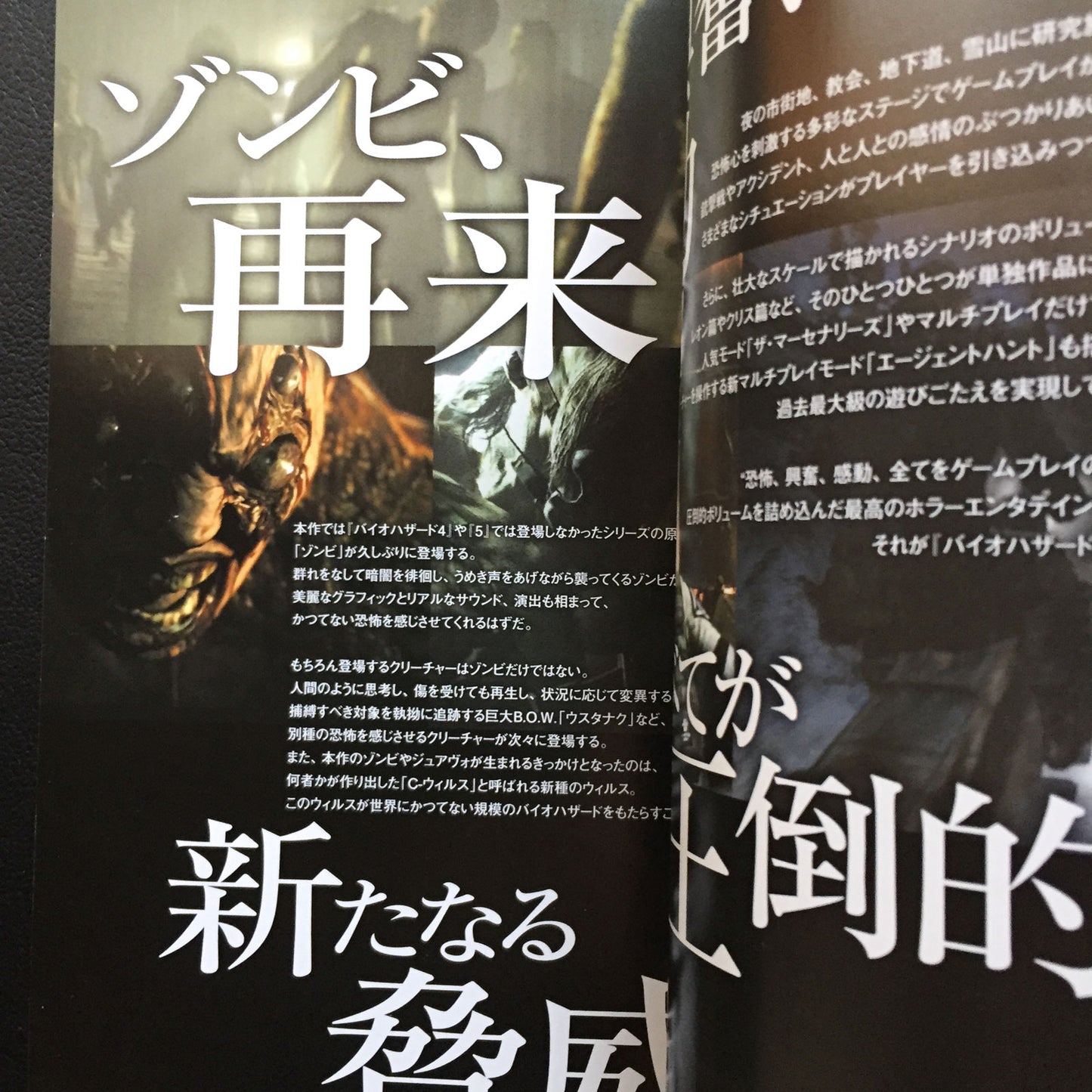 BIOHAZARD 6 (Resident Evil) Graphical Guide