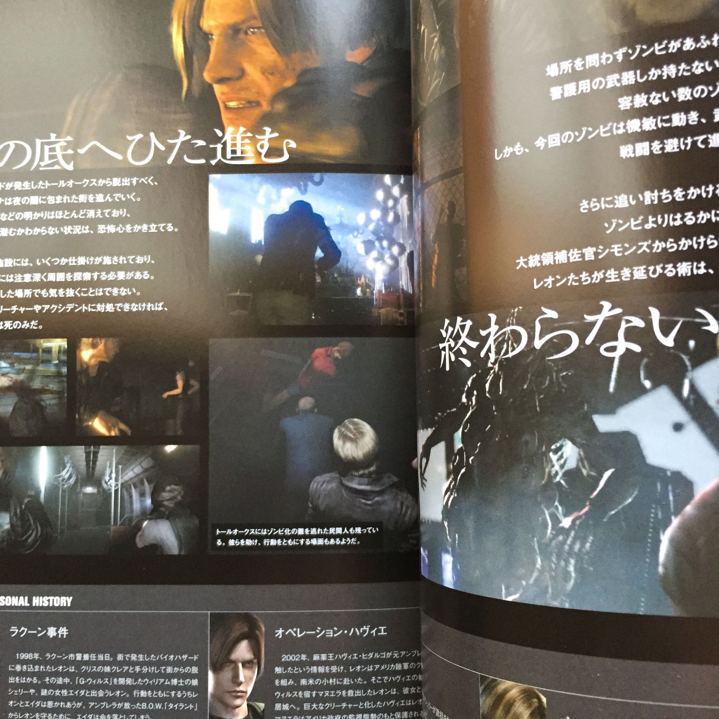 BIOHAZARD 6 (Resident Evil) Graphical Guide