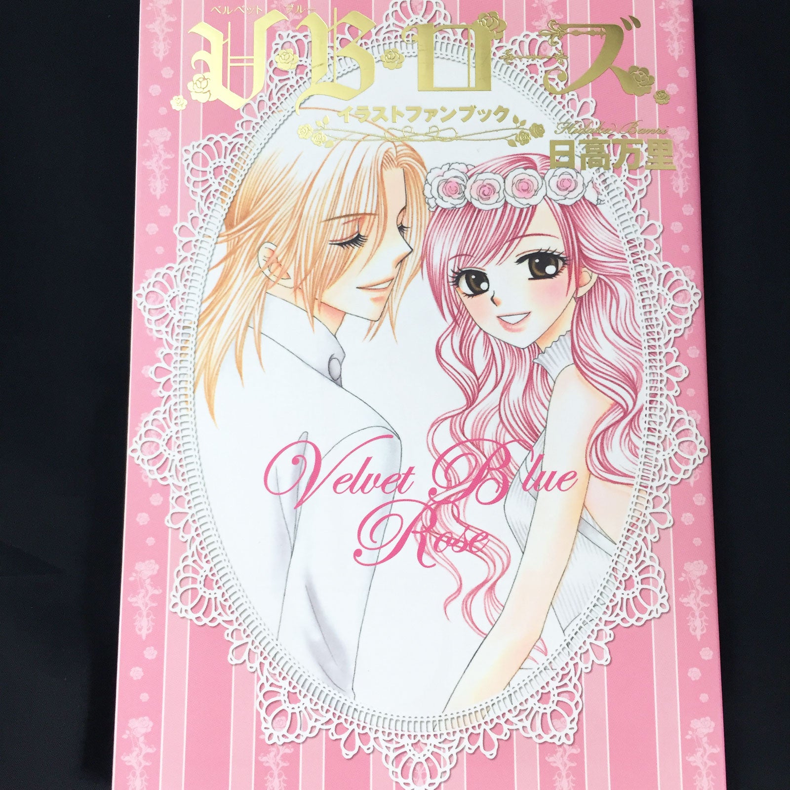 V.B. Rose Illustration Fan Book Banri Hidaka MOYASHI JAPAN BOOKS