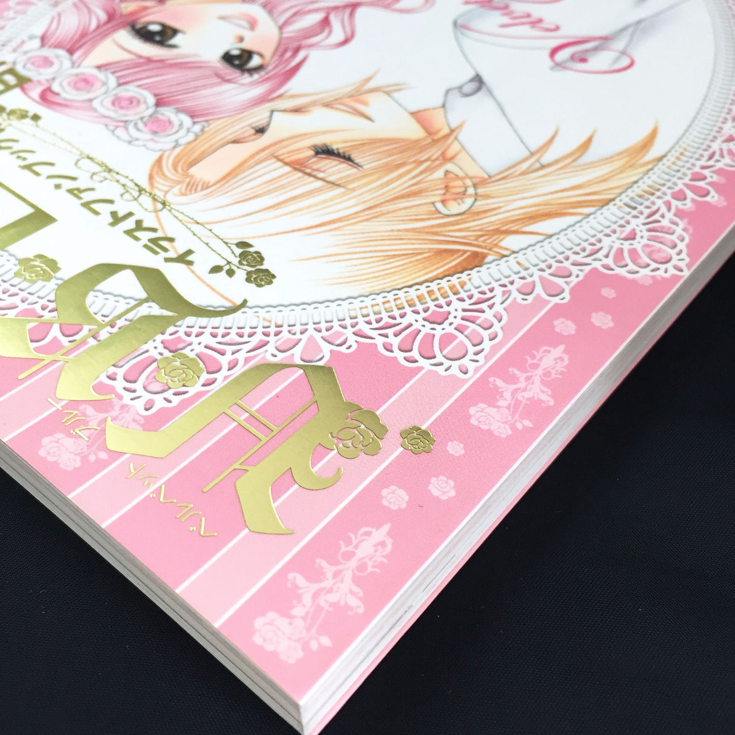 V.B. Rose Illustration Fan Book Banri Hidaka
