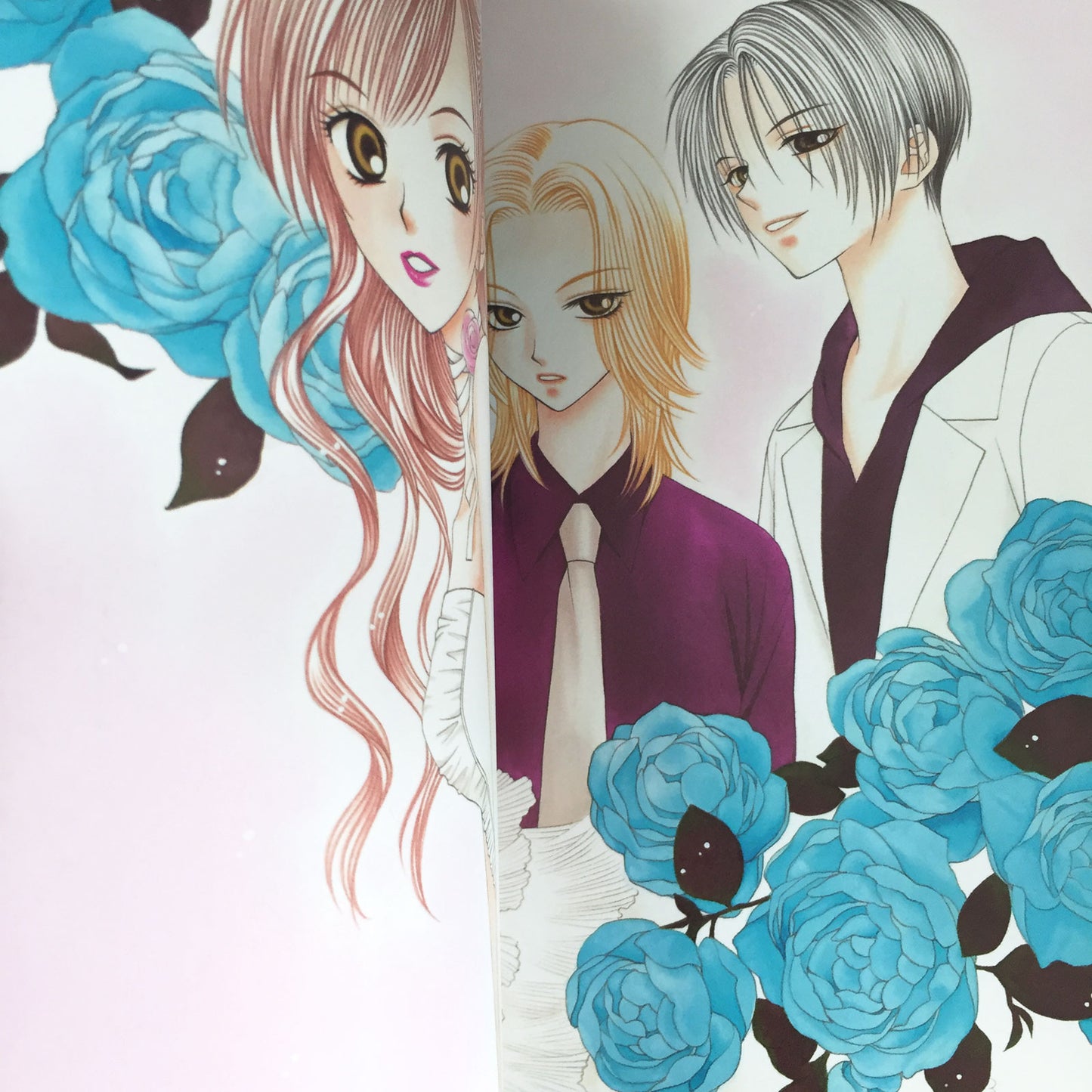 V.B. Rose Illustration Fan Book Banri Hidaka