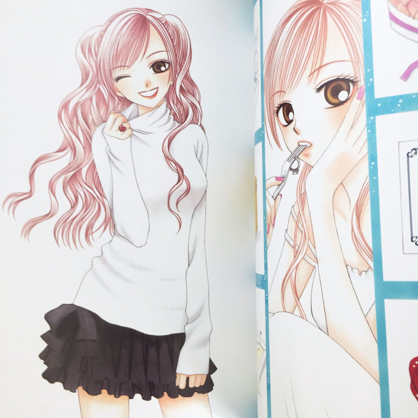 V.B. Rose Illustration Fan Book Banri Hidaka