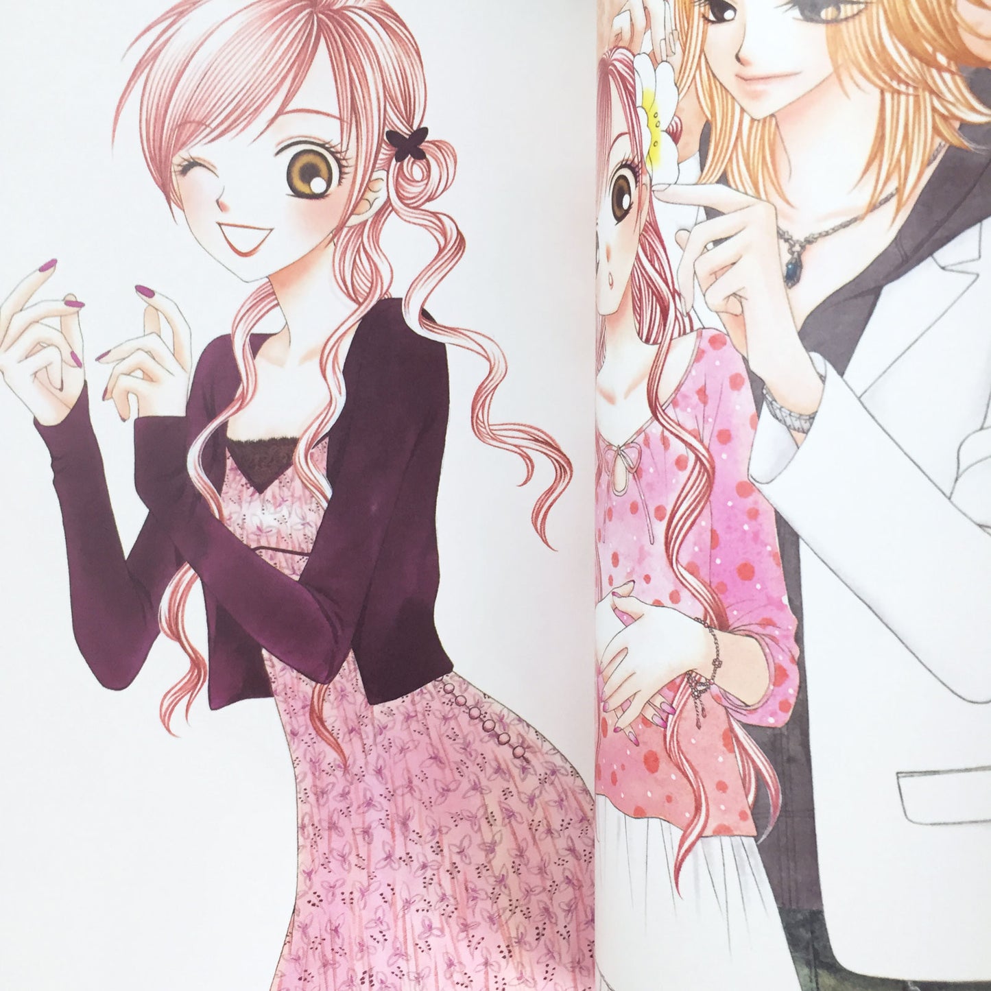 V.B. Rose Illustration Fan Book Banri Hidaka