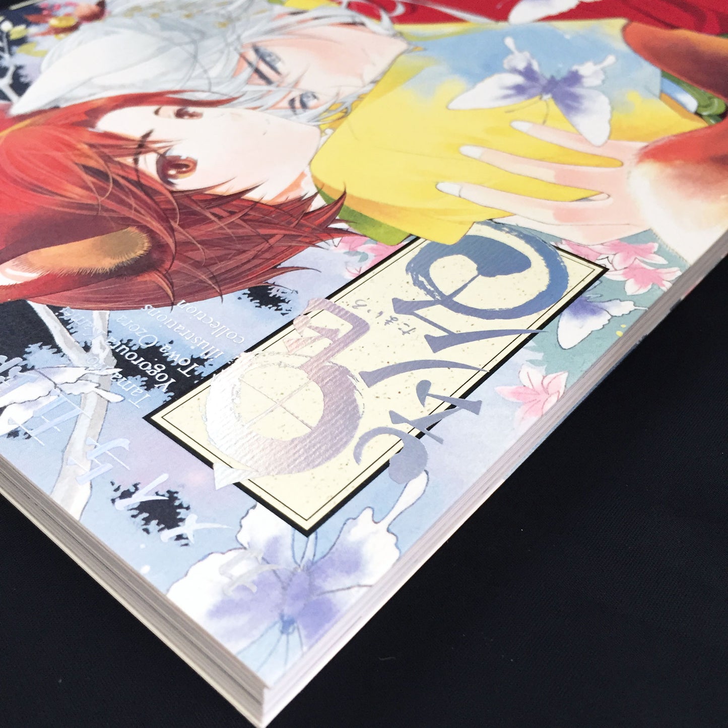 Yogorouta Kamei Towa Ozora Illustrations Collection TAMAIRO