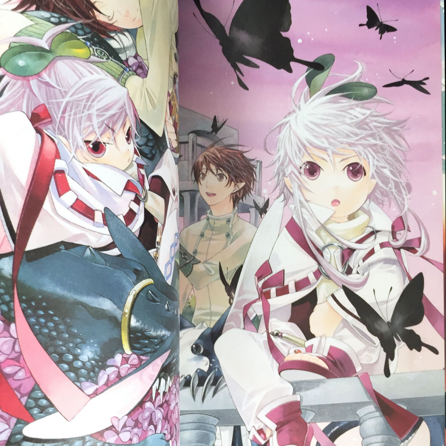 Yogorouta Kamei Towa Ozora Illustrations Collection TAMAIRO