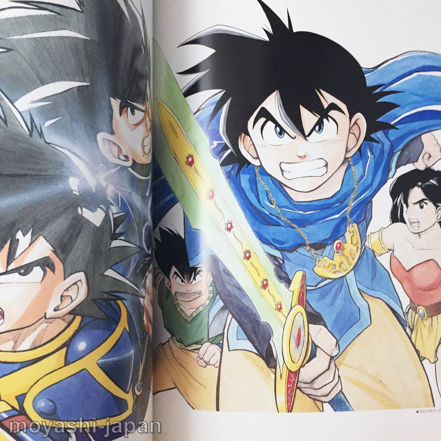 Dragon Quest Emblem of Roto Kamui Fujiwara Art Book