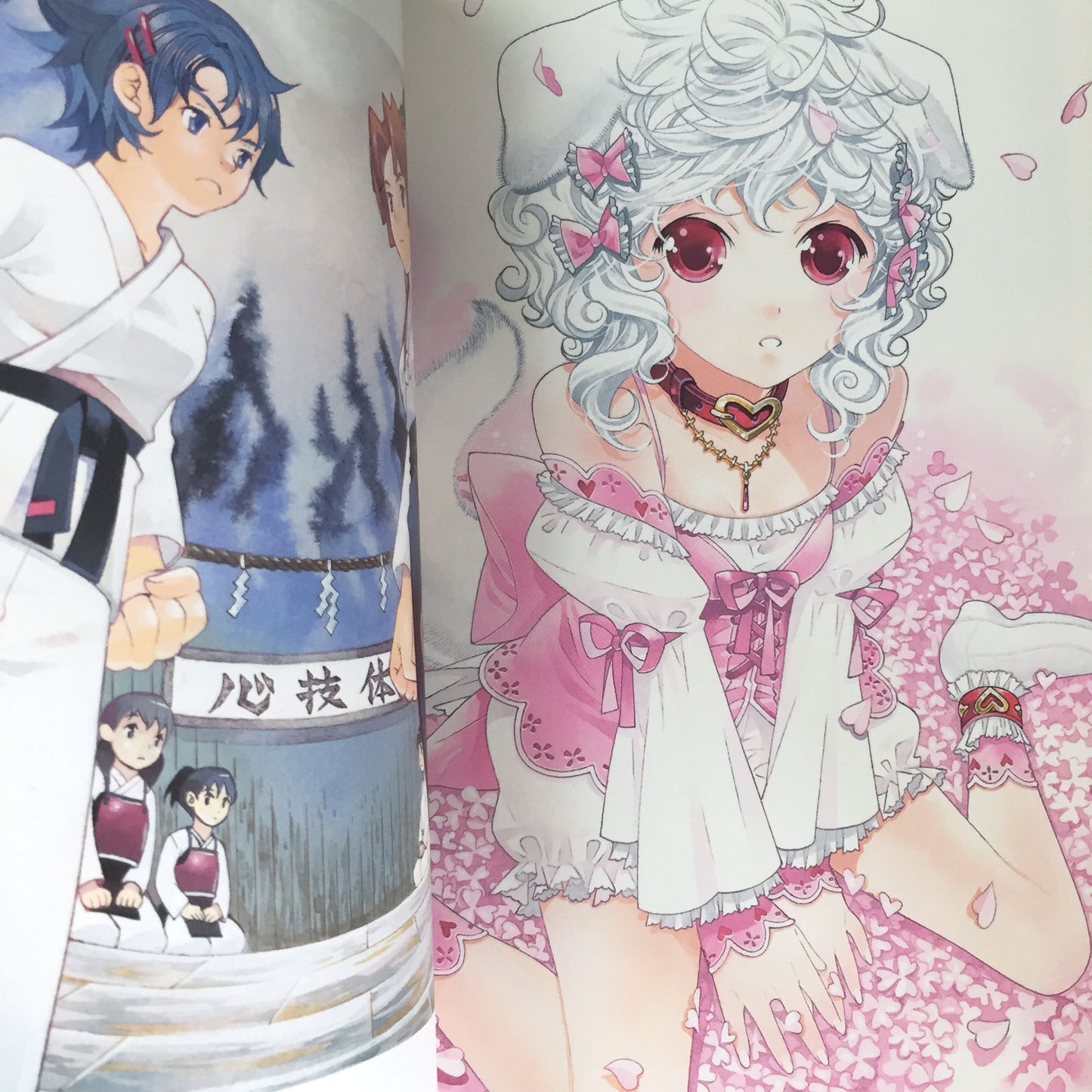 Yogorouta Kamei Towa Ozora Illustrations Collection TAMAIRO