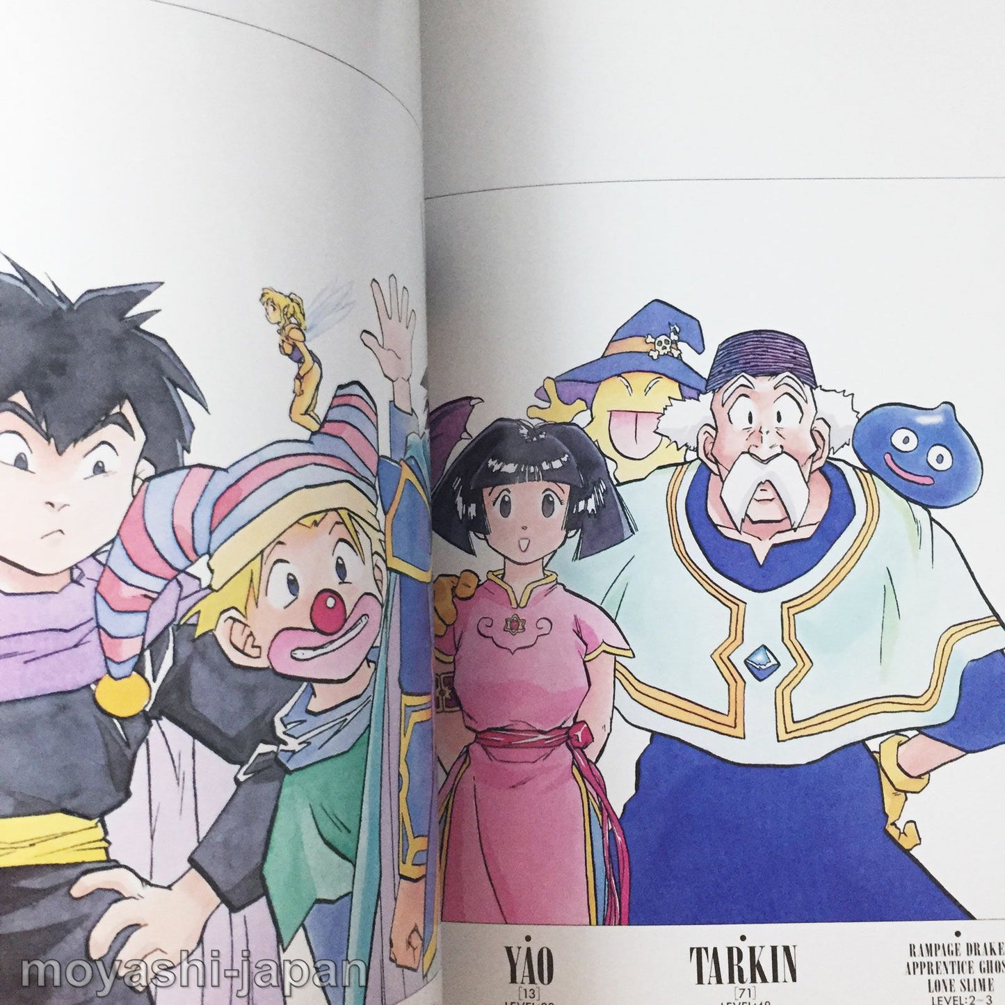 Dragon Quest Emblem of Roto Kamui Fujiwara Art Book