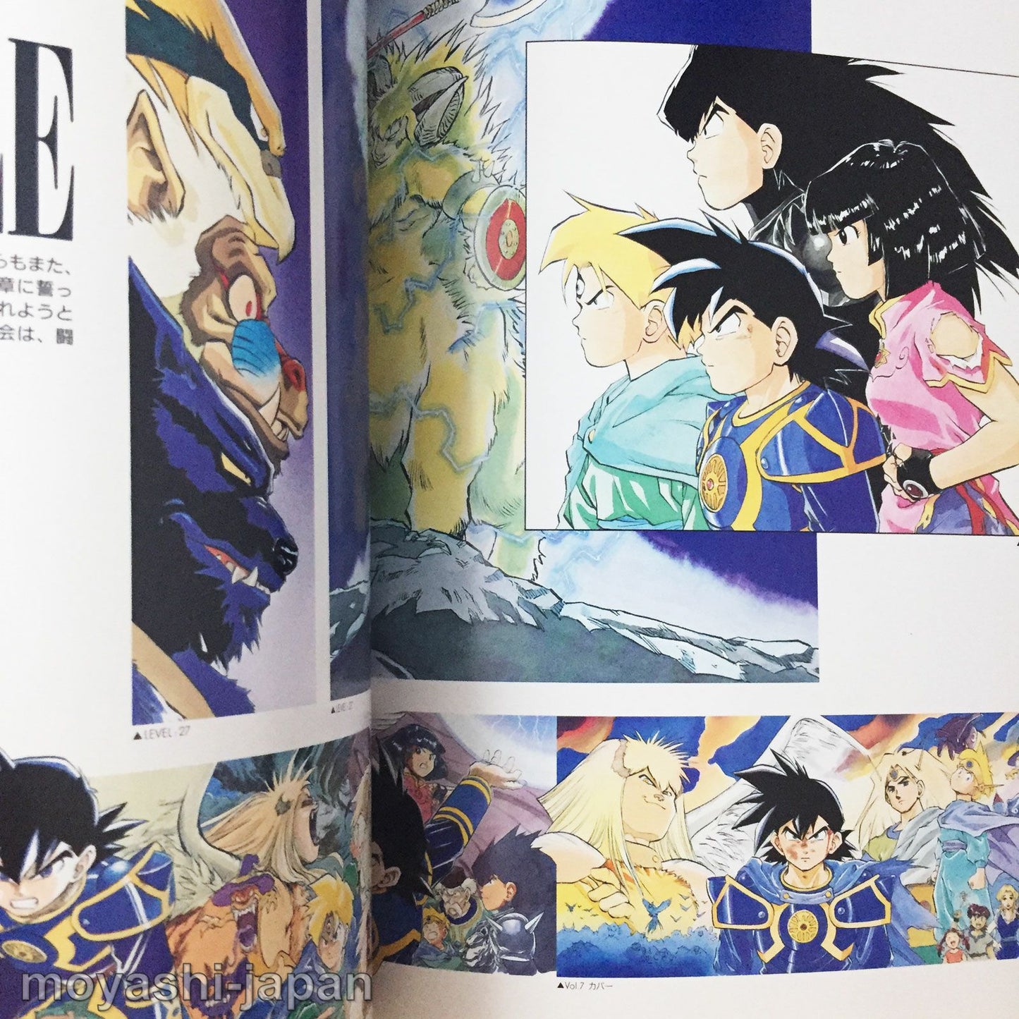 Dragon Quest Emblem of Roto Kamui Fujiwara Art Book