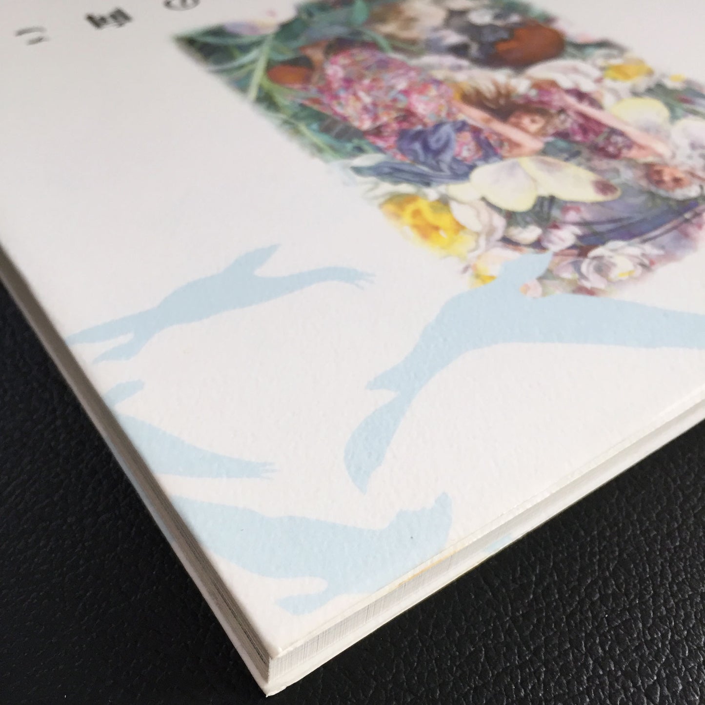 Miyako Hasumi Illustrations