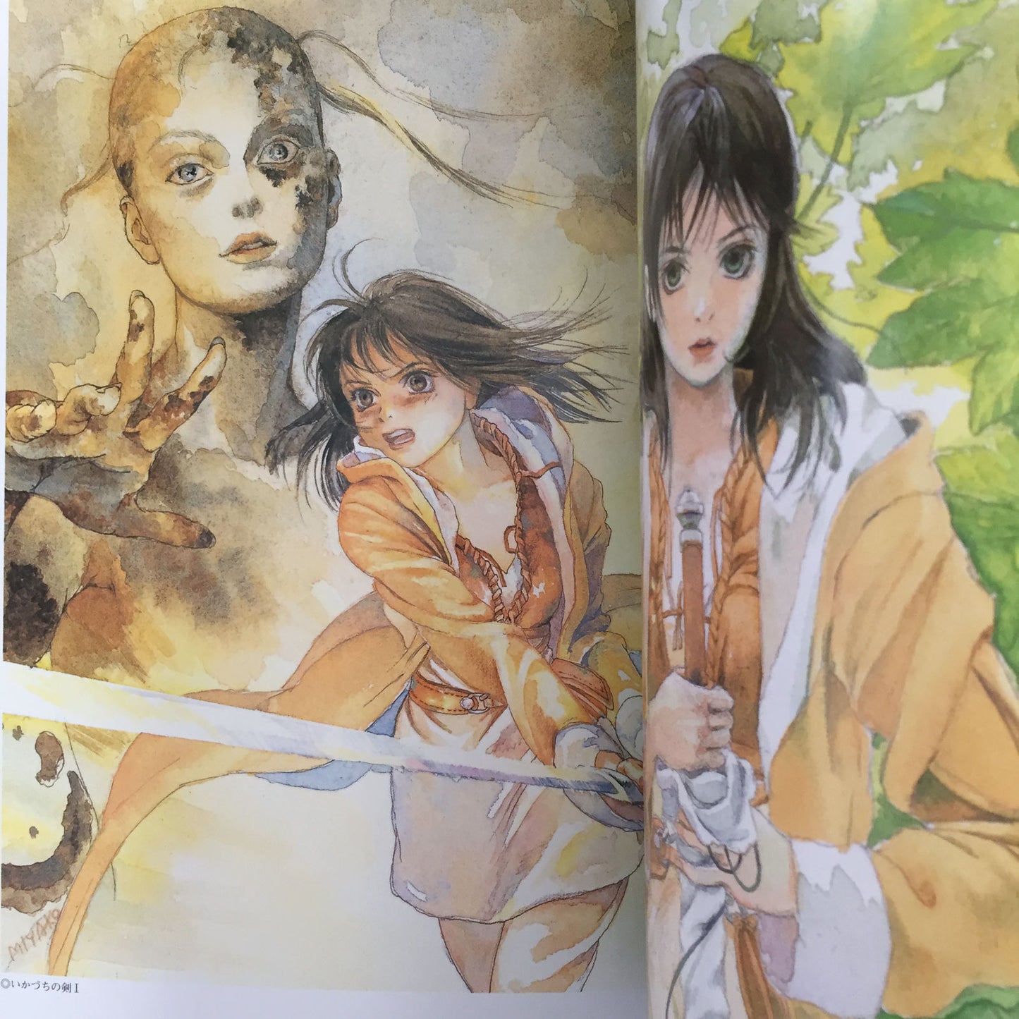 Miyako Hasumi Illustrations