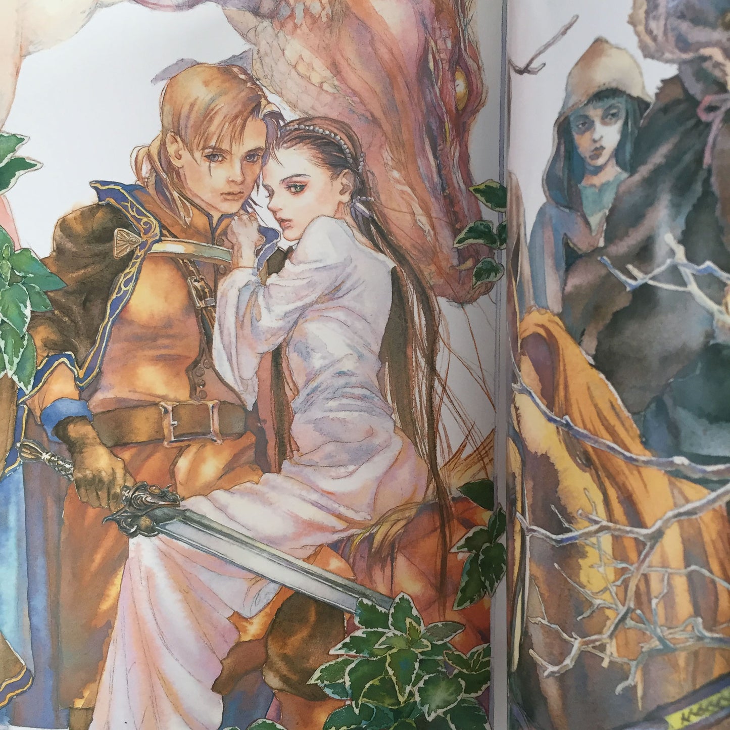 Miyako Hasumi Illustrations
