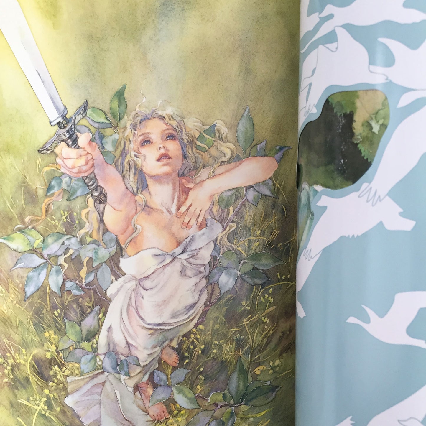 Miyako Hasumi Illustrations
