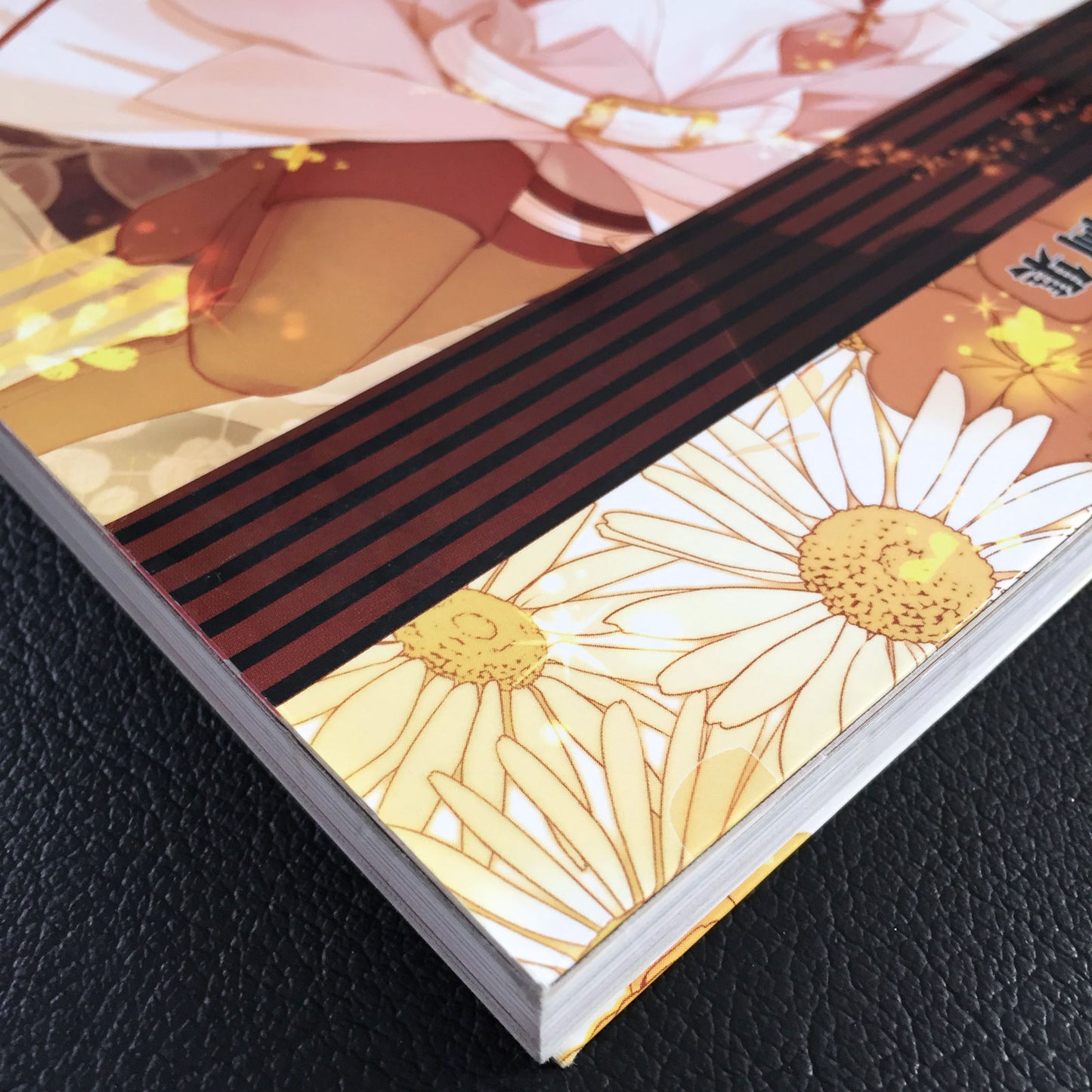 miko Art Book TOIRO×Stripes!