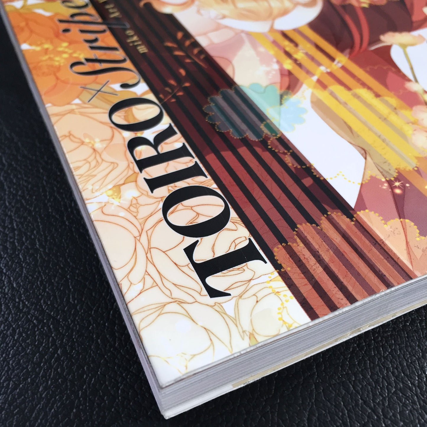 miko Art Book TOIRO×Stripes!