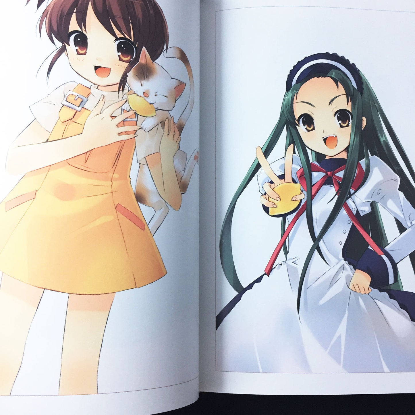 Noizi Ito Illustrations HARUHI-ISM