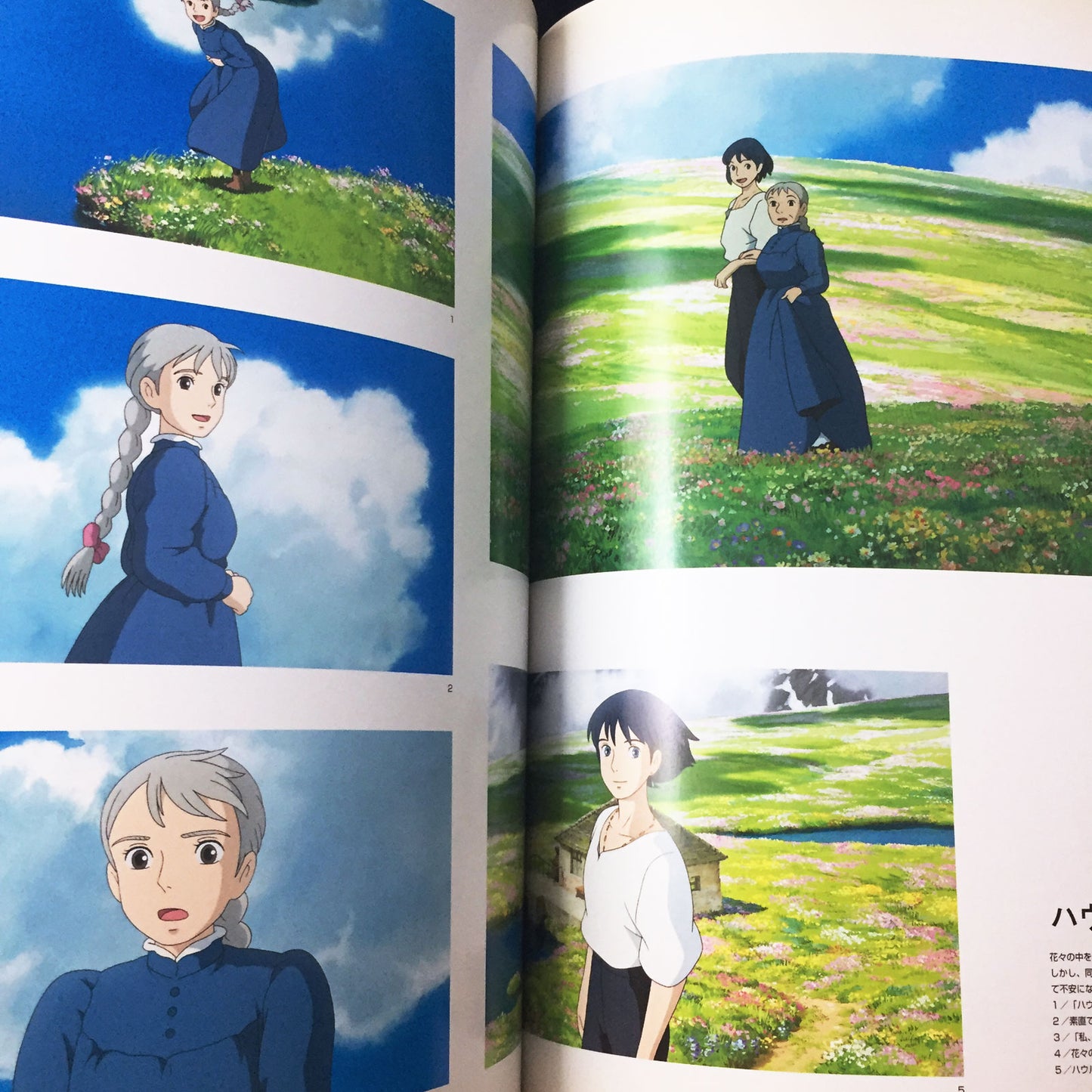 The Art of Howl's Moving Castle / Studio Ghibli
