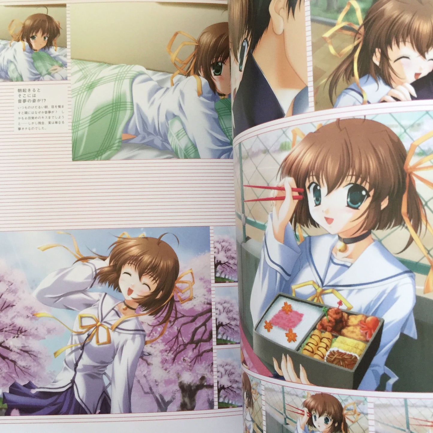D.C.P.S. Da Capo Plus Situation Official Visual Guide