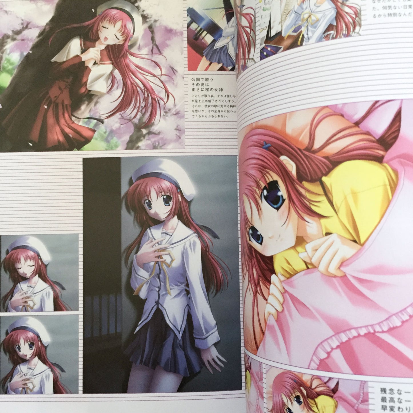D.C.P.S. Da Capo Plus Situation Official Visual Guide