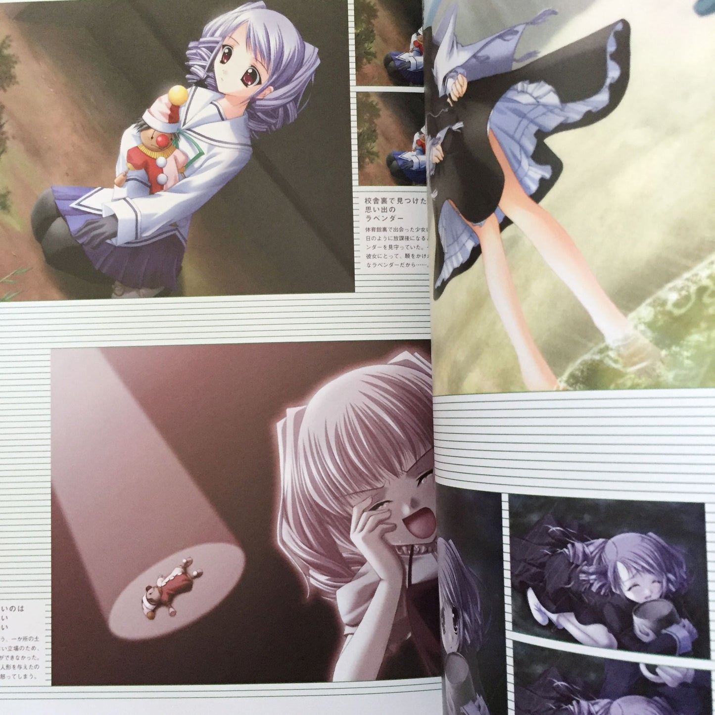 D.C.P.S. Da Capo Plus Situation Official Visual Guide