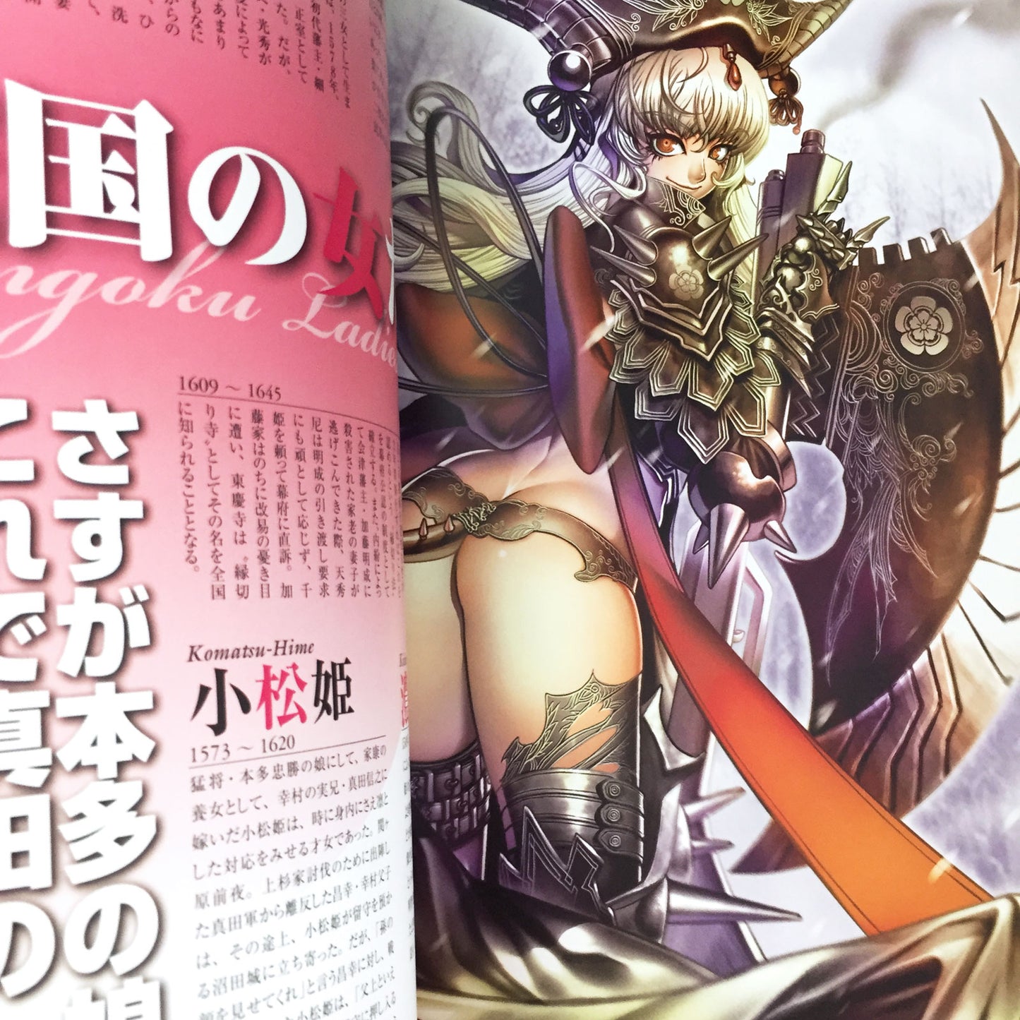SENGOKU HELM Sengoku Bushou Illustration Art Book