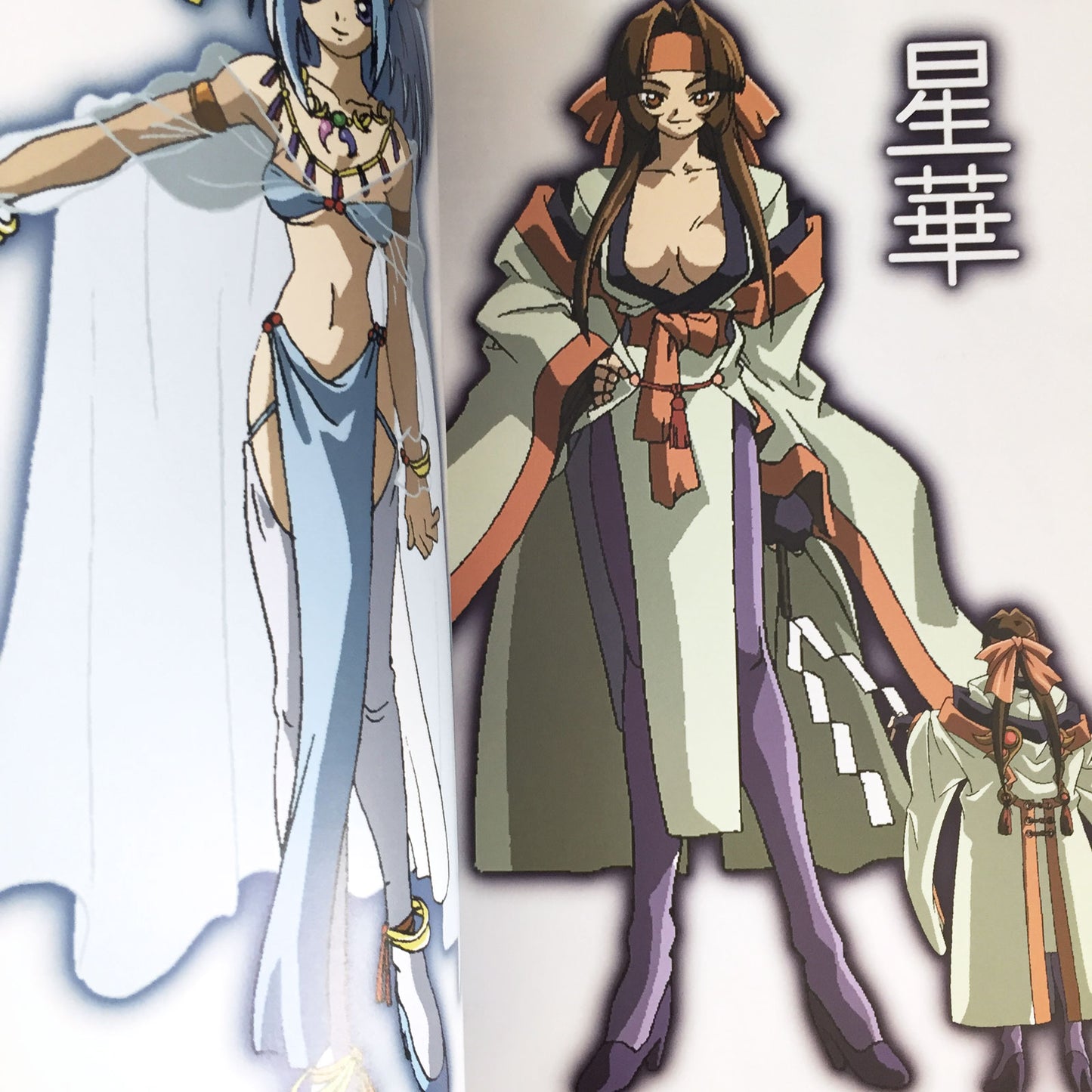 Legend of Himiko (Himiko-Den) World & Character Guide