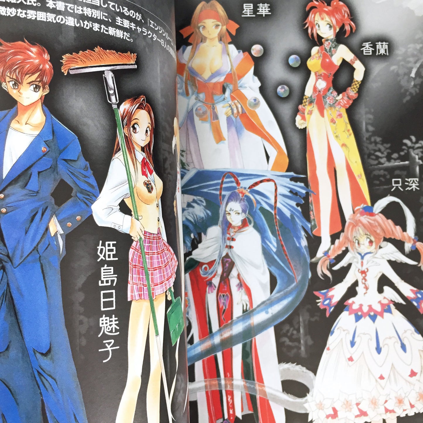 Legend of Himiko (Himiko-Den) World & Character Guide
