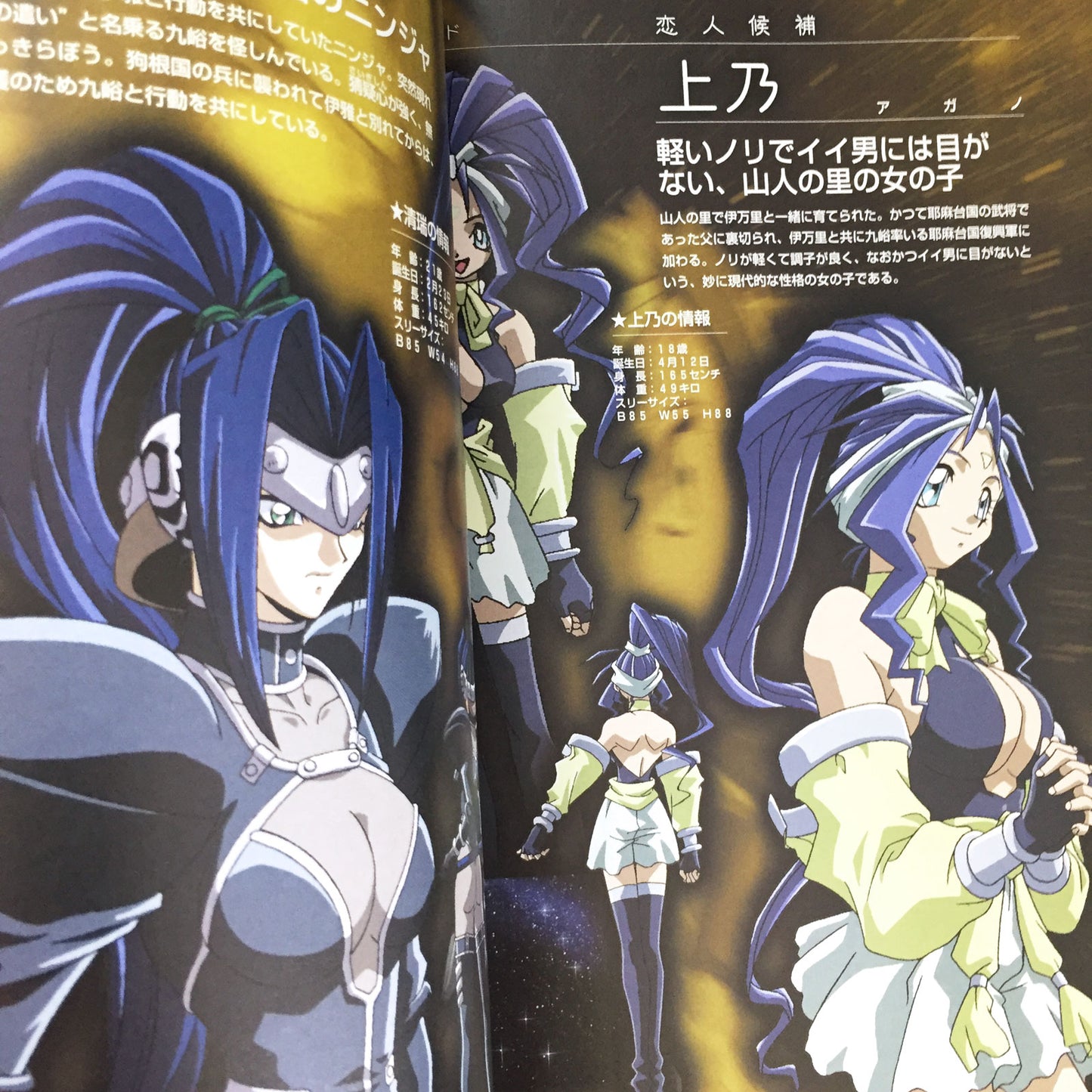 Legend of Himiko (Himiko-Den) World & Character Guide