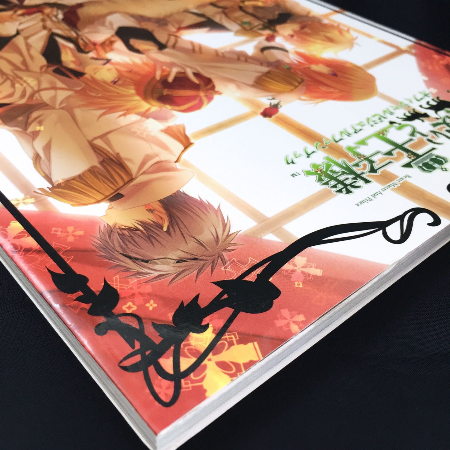 Beastmaster and Princes Official Visual Fan Book