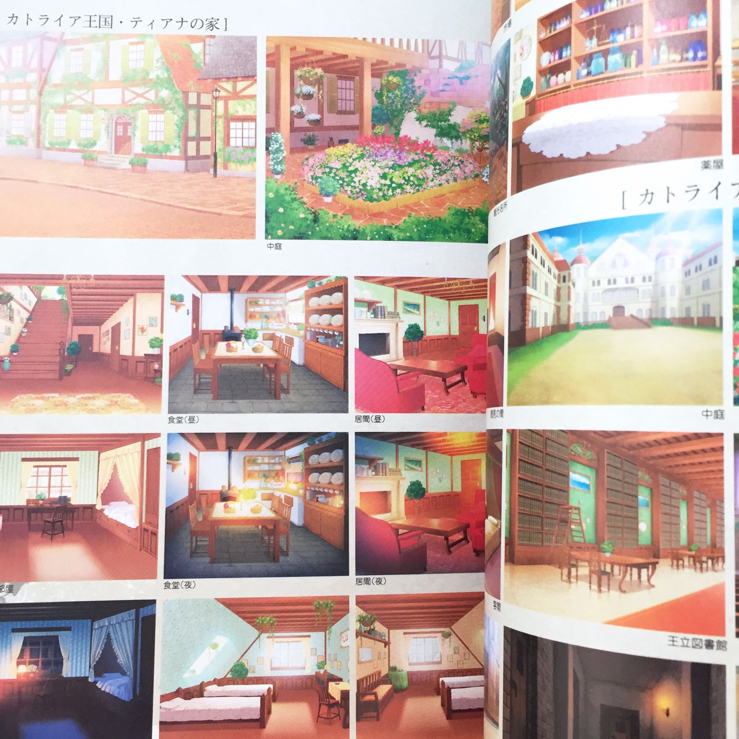 Beastmaster and Princes Official Visual Fan Book