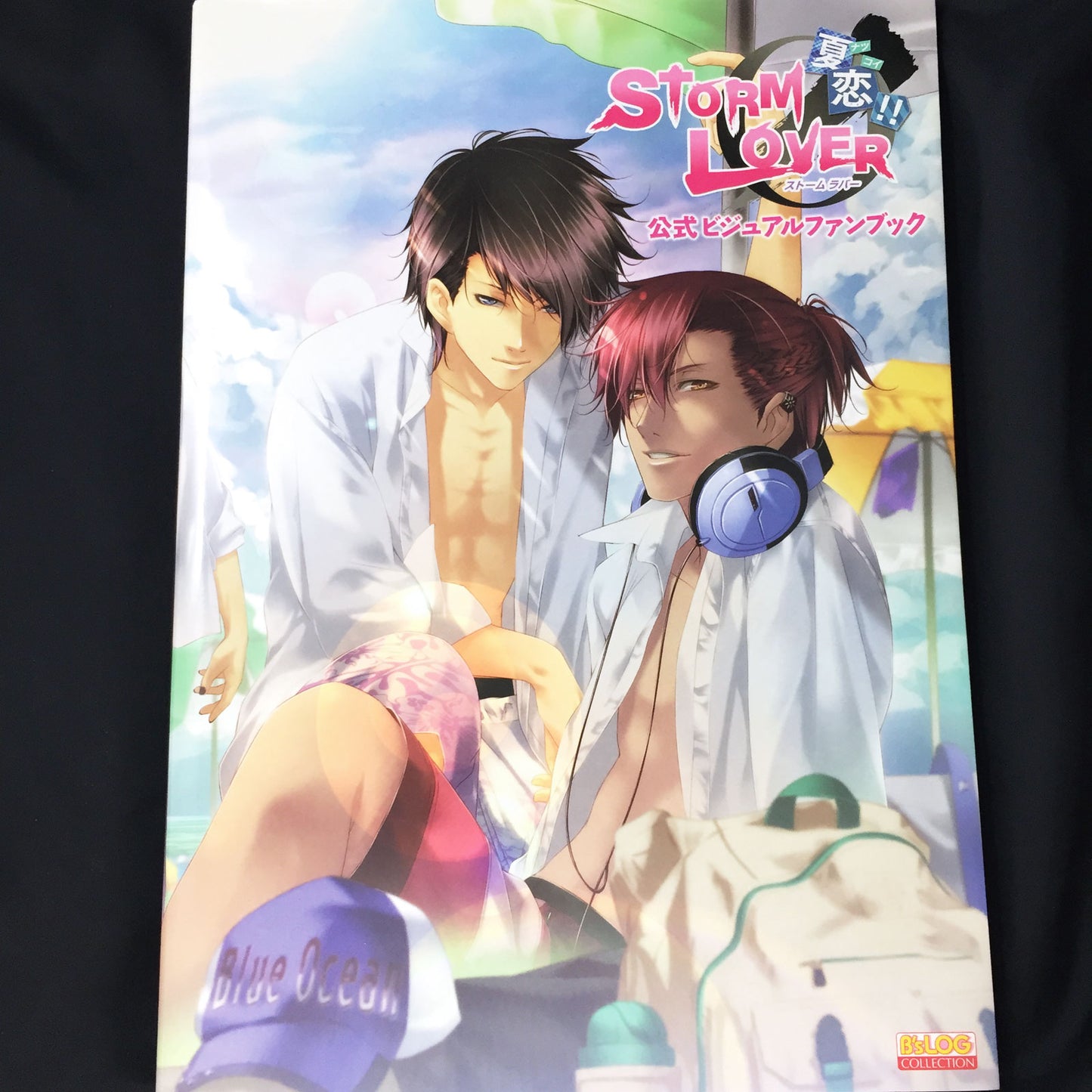 STORM LOVER NatsuKoi!! Official Visual Fan Book