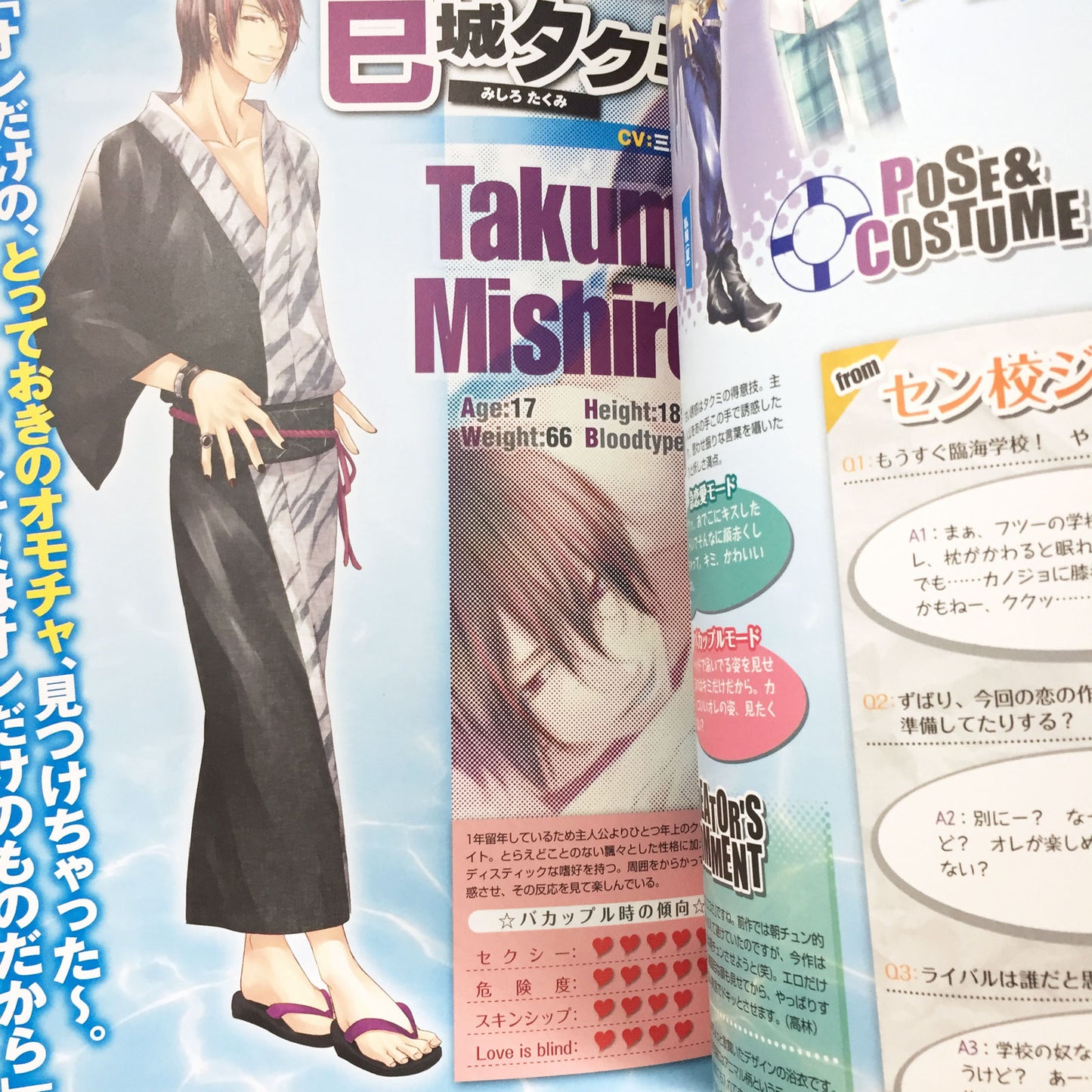 STORM LOVER NatsuKoi!! Official Visual Fan Book