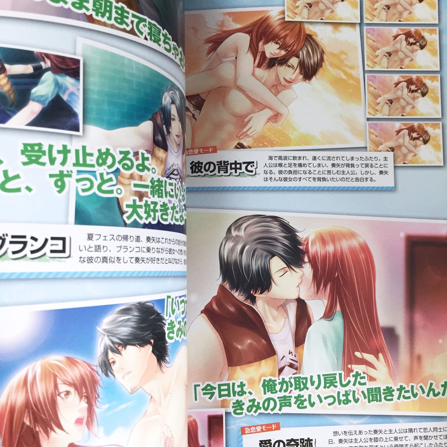 STORM LOVER NatsuKoi!! Official Visual Fan Book