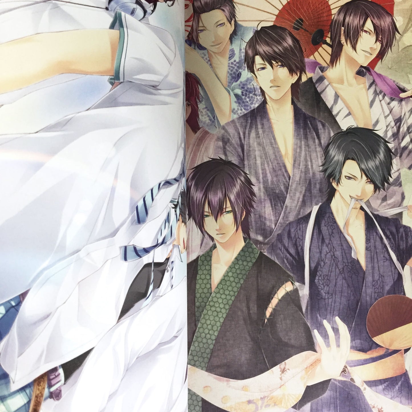 STORM LOVER NatsuKoi!! Official Visual Fan Book
