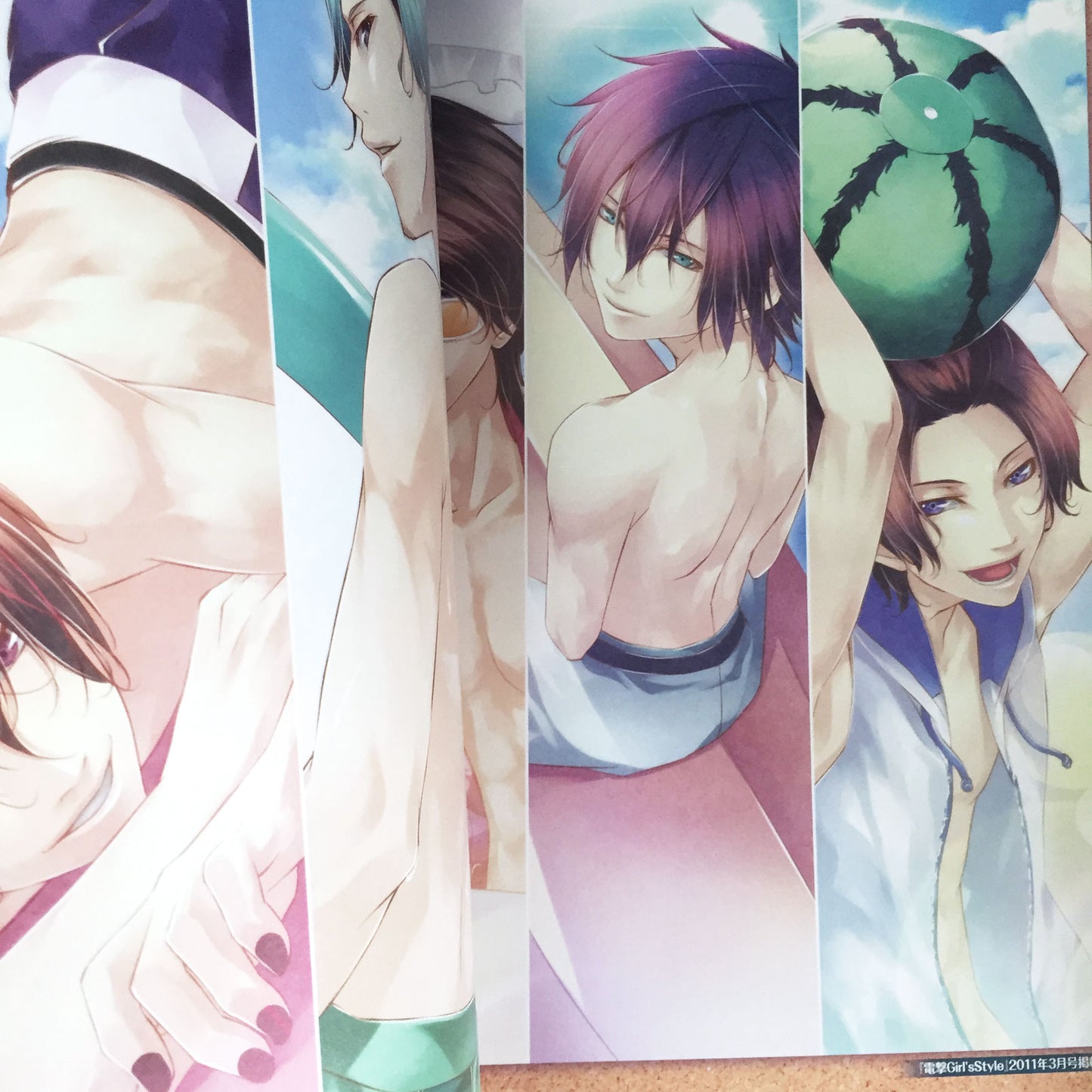 STORM LOVER NatsuKoi!! Official Visual Fan Book