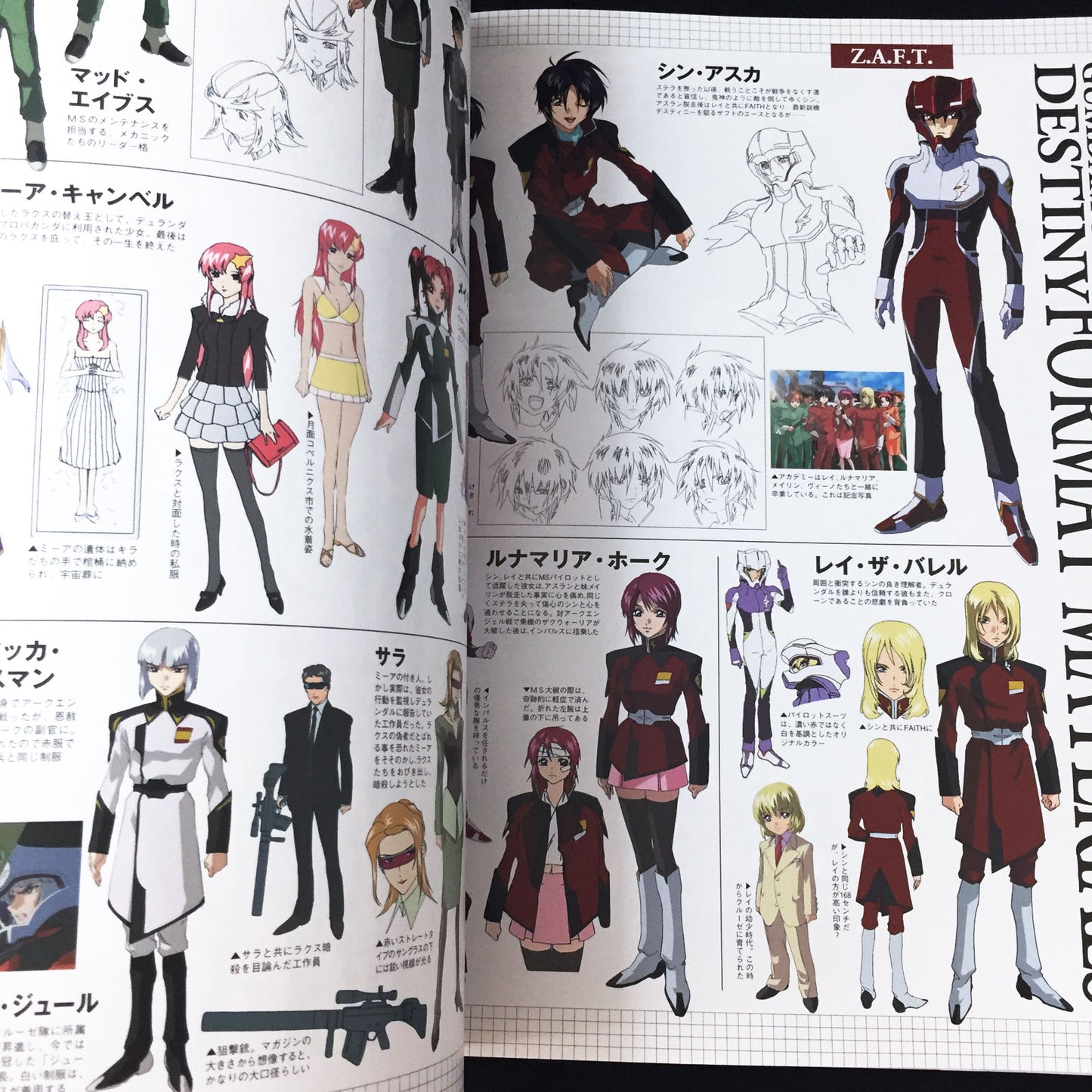 Mobile Suit Gundam SEED Destiny PHASE DESTINY