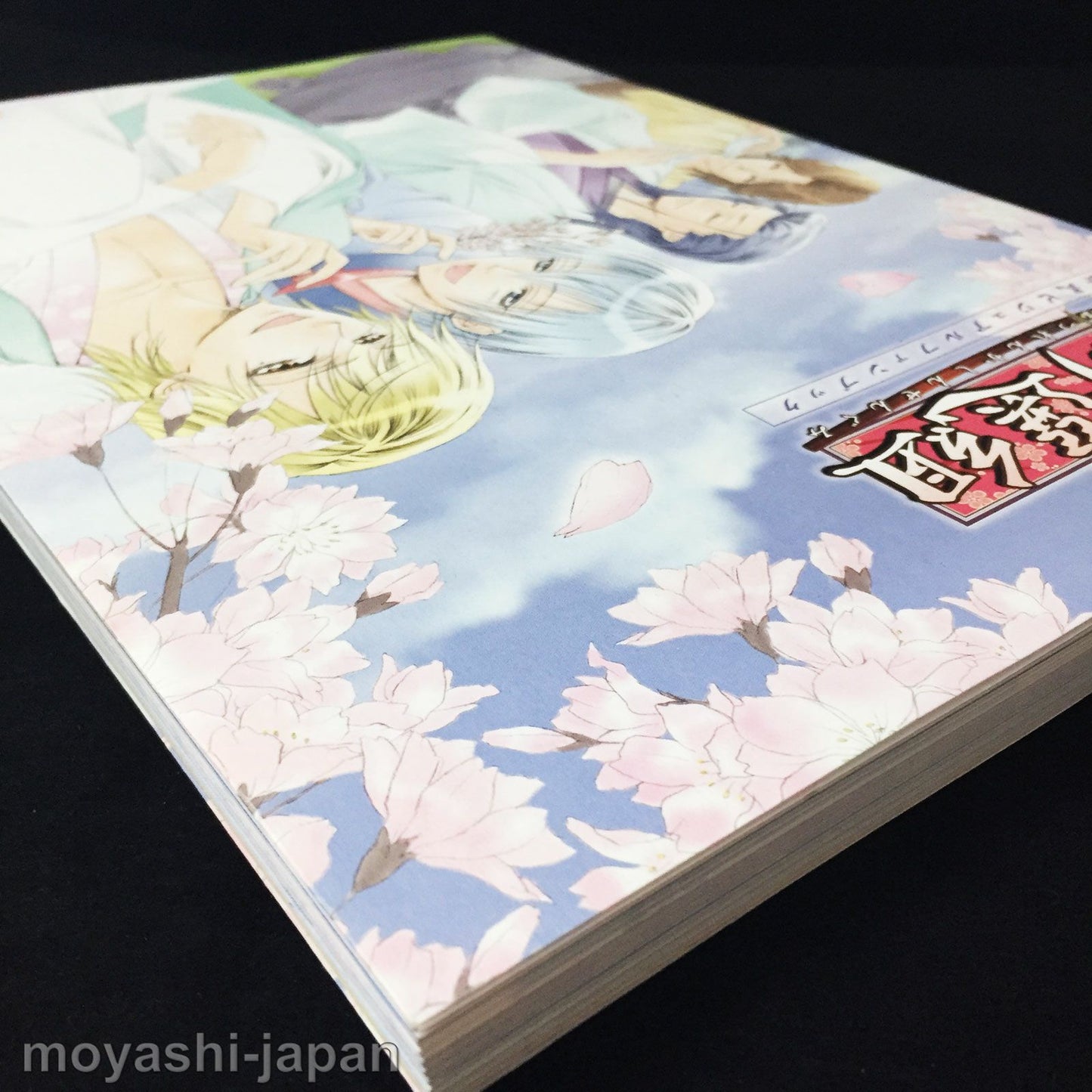 Bakumatsu Renka Shinsengumi Official Visual Fan Book