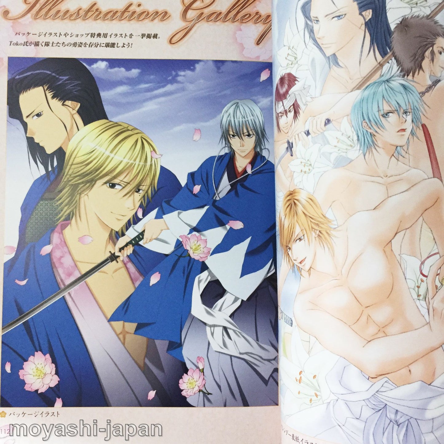 Bakumatsu Renka Shinsengumi Official Visual Fan Book